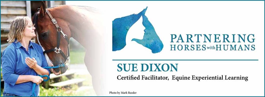 02IqCWqm-Professionaly-Speaking-Banner-Partnering-with-horses.jpg