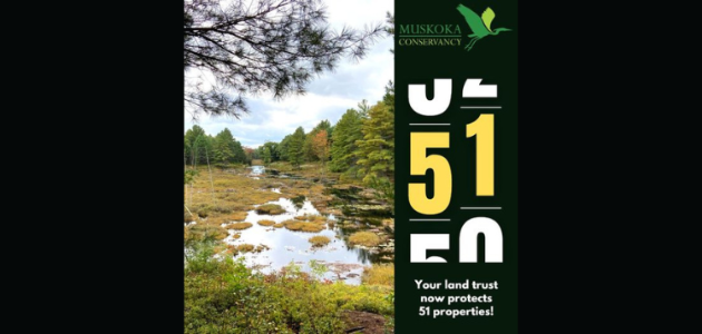 Muskoka Conservancy adds 173-acre property in Barkway