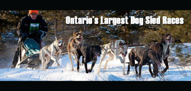 Kearney Dog Sled Races this weekend