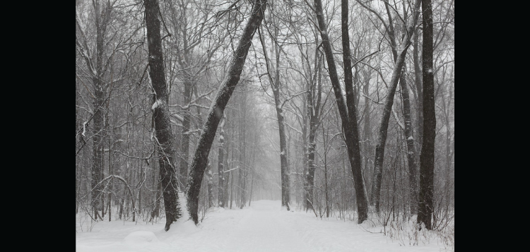 snow
