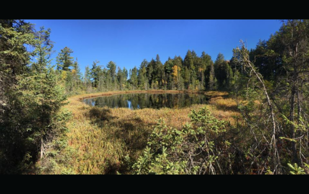 Conservancy plans native plant sale, electric vehicle demo day