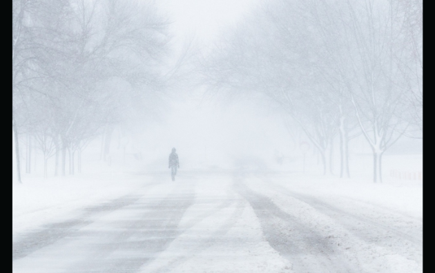 Weather advisory in effect for Muskoka