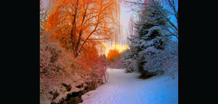 winter.png