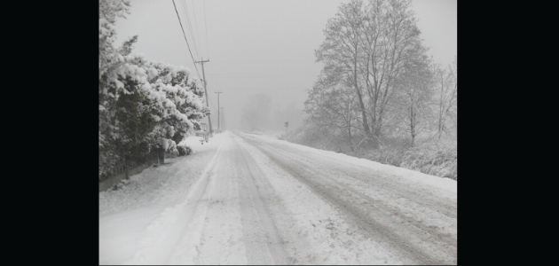 Snowfall alert issued for Muskoka