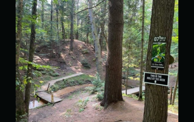 Dads of Muskoka to host Mosquito Open disc golf tourney