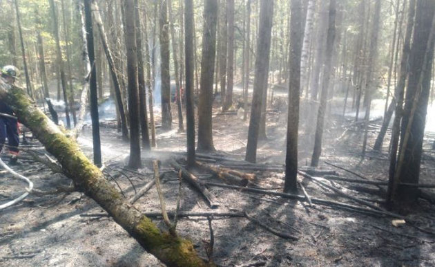 Crews spent four hours fighting brushfire caused by improperly extinguished campfire