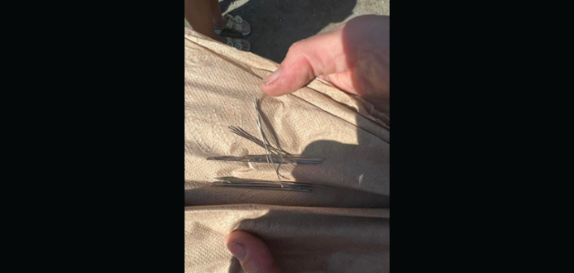 Kirby’s Beach closed following needle discovery