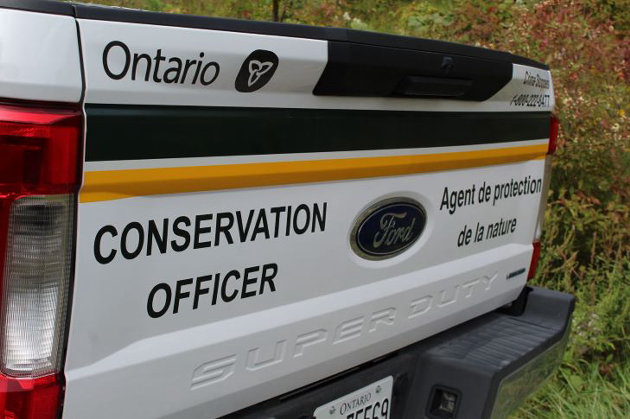 Port Carling deer decoy lands in hunter in hot water
