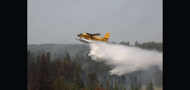 Water bombers combat Parry Sound forest fire