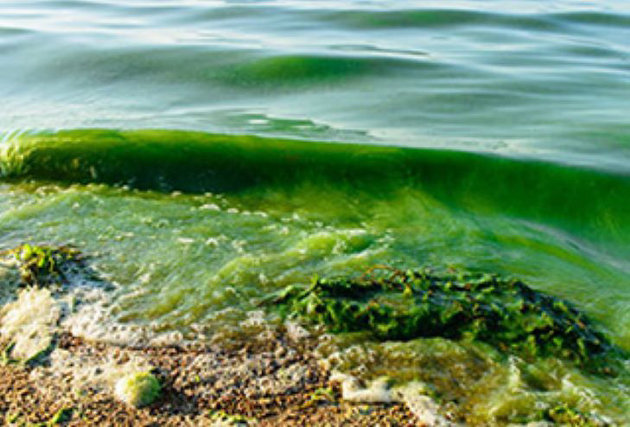 Five more lakes could be added to the District’s vulnerable lakes list
