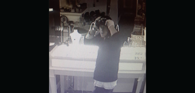 OPP search for Albion B&E suspect