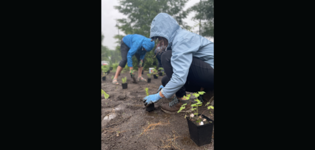 District announces opening of pollinator garden