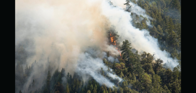 Fire season begins again on April 1