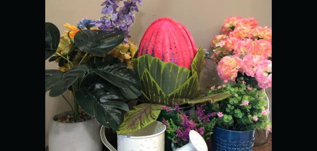 <strong>Dragonfly Theatre Company Presents: “Little Shop of Horrors”</strong>