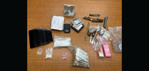 Wellness check leads to drug trafficking charges