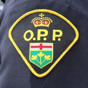 opp-stock-image-300×300.jpg