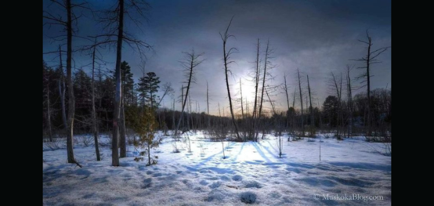 Weekend weather forecast