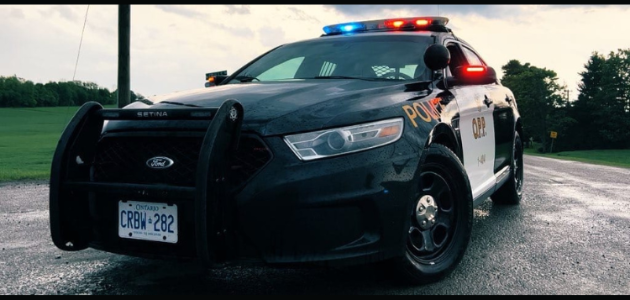 Gravenhurst man steals Hennessy, hanging plants
