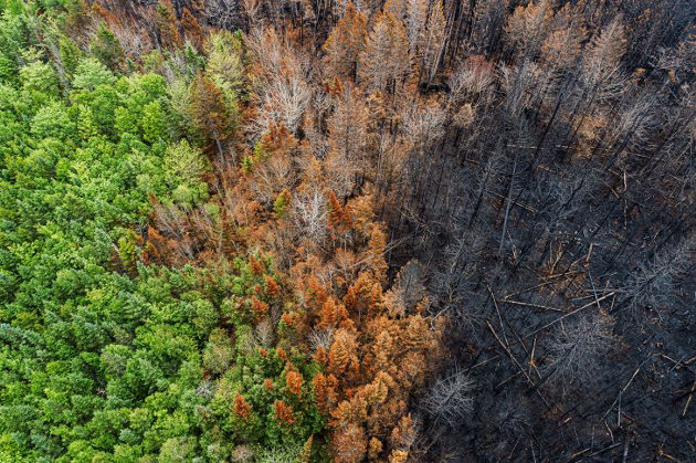 Our changing climate and Ontario’s response