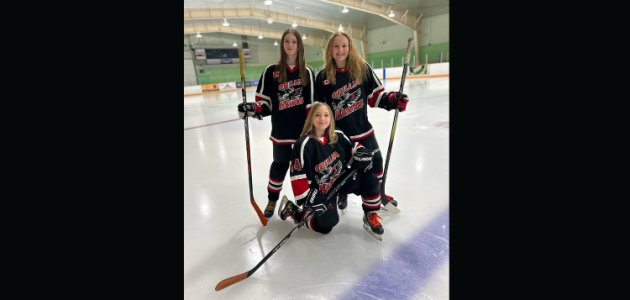 Hawks bring Muskoka firepower to provincial finals