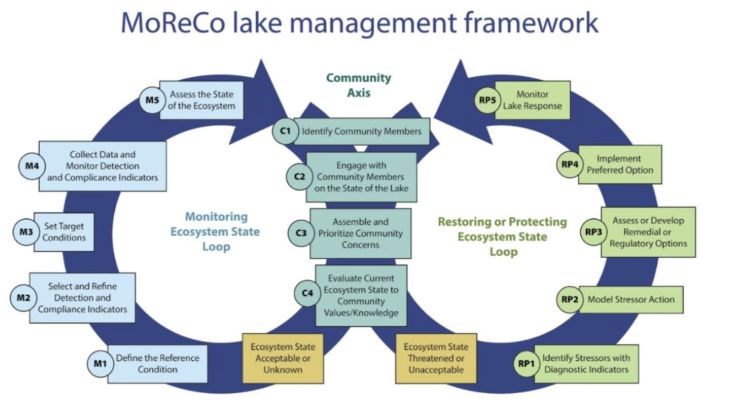 LYAMmgdQ-Lake-ecosystem.jpg