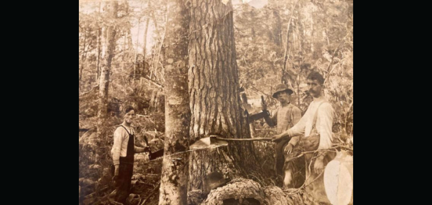 Wayback Wednesday: Alfred James Hammond, 1874-1962