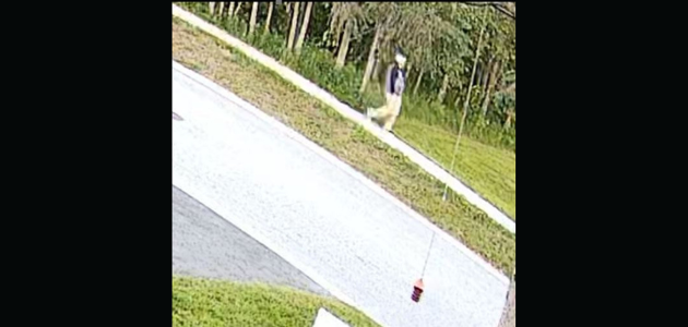 Bracebridge OPP searching for “person on interest” in car theft investigation