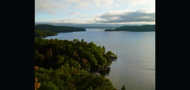Muskoka Conservancy adds five properties to its protected list