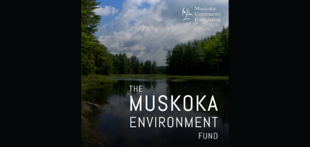 Muskoka environment fund accepting applications for 2024 Youth Summit