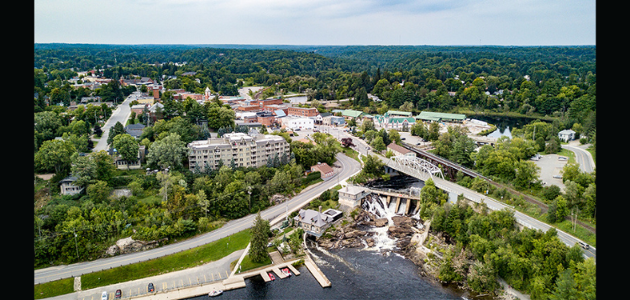 Bracebridge examining the health of urban trees