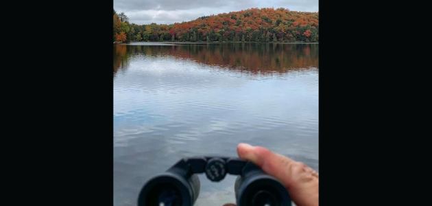 Weekend weather forecast