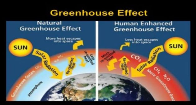 Life in the biggest greenhouse: Hugh Holland  | Commentary 