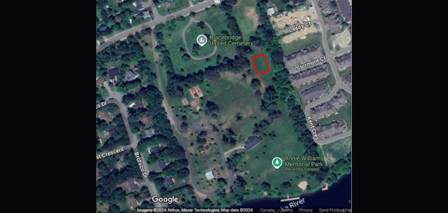 Bracebridge now building labyrinth in Annie William Park