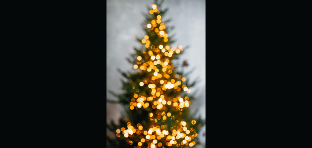 Bracebridge Library looking for your used Christmas trees