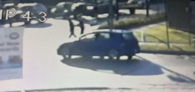 Bracebridge OPP seek assistance in Gravenhurst hit-and-run