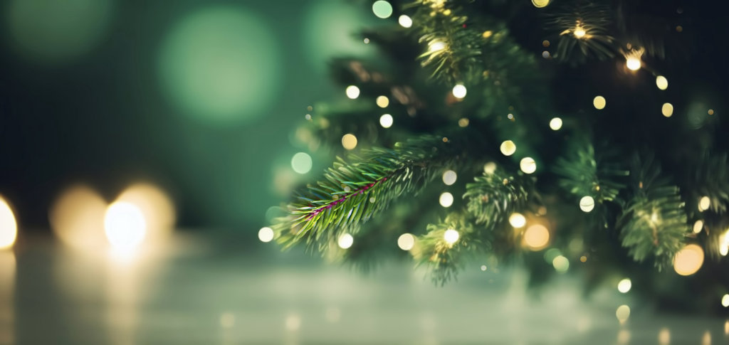Festive-Pine.jpg