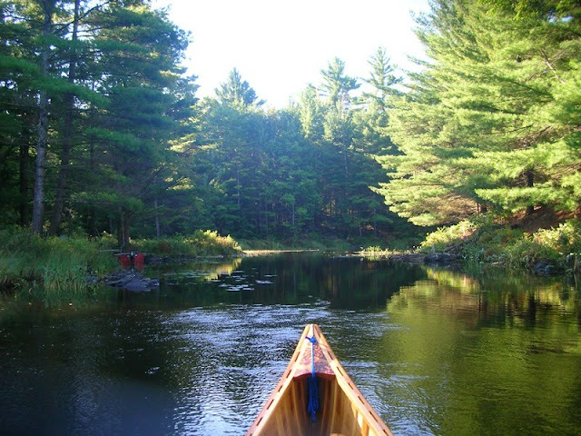 SRCR-Solo-Trip-002_rs.jpg