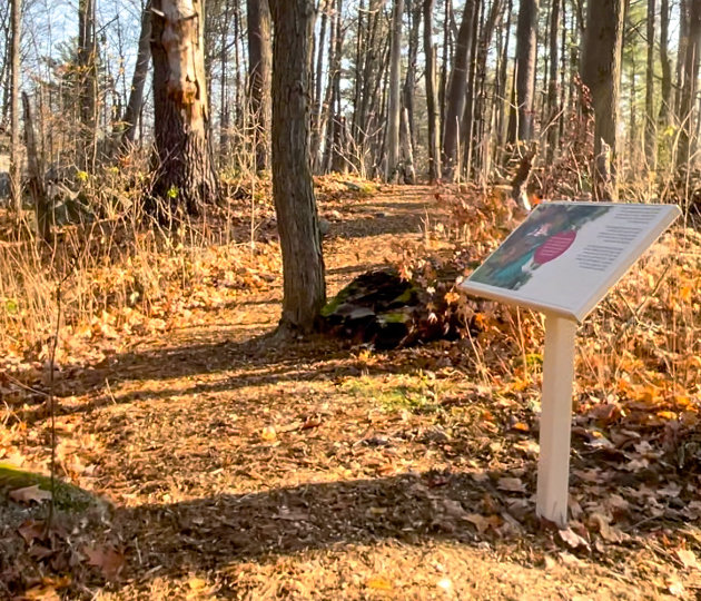 Town of Bracebridge seeks illustrator for Woodchester Storybook Trail update