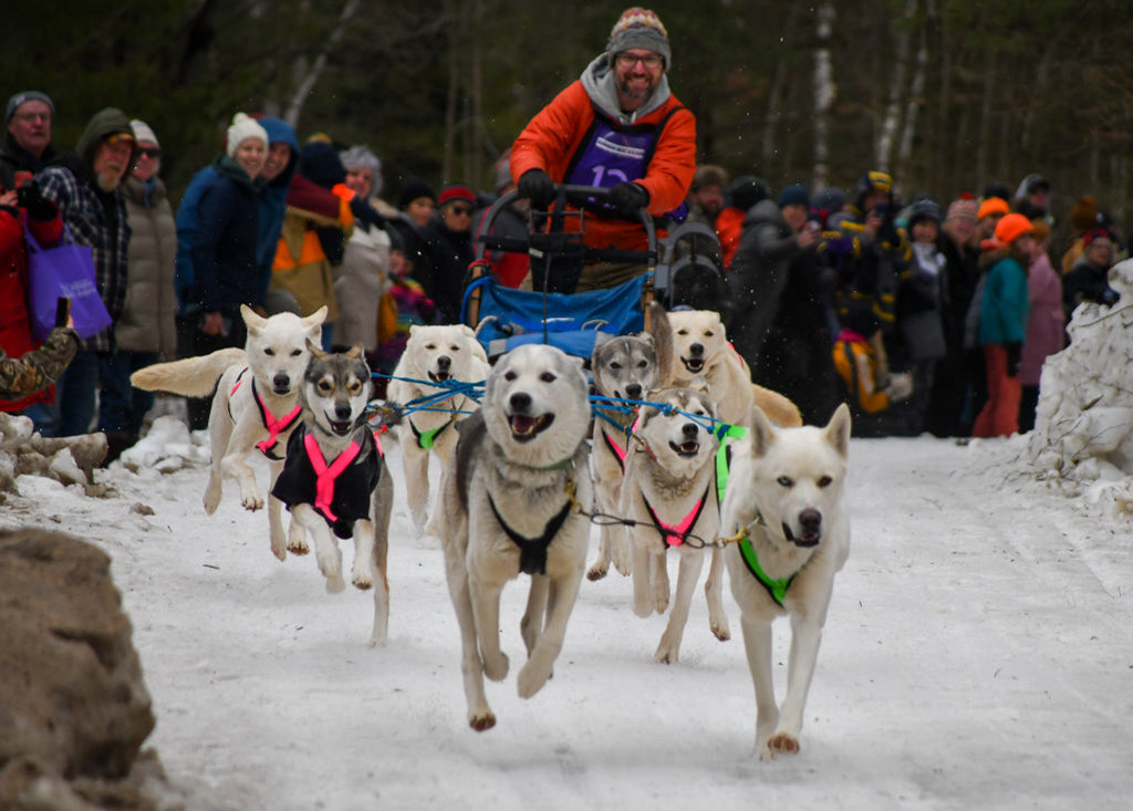 Kearney-Dog-Sled-races-1024×733.jpg