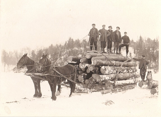 Wayback Wednesday: Hauling lumber, Muskoka Falls