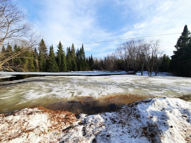Flood watch bulletin in effect for Black River in Bracebridge