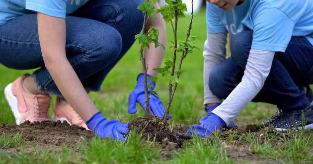 Native tree and shrub sale on April 28