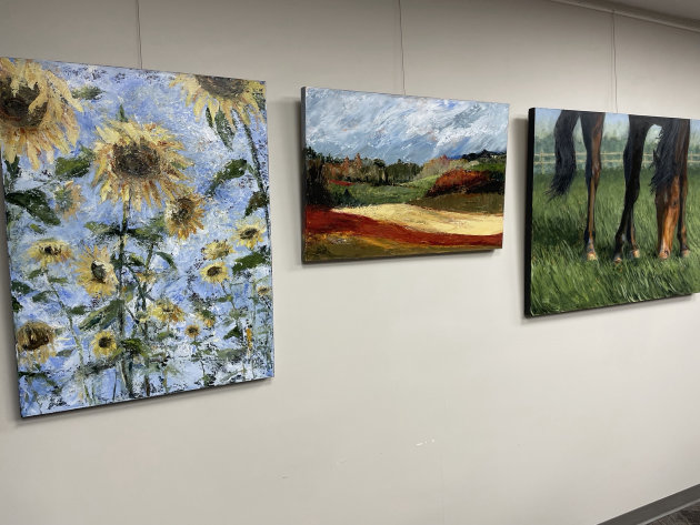 New art display at Gravenhurst municipal office