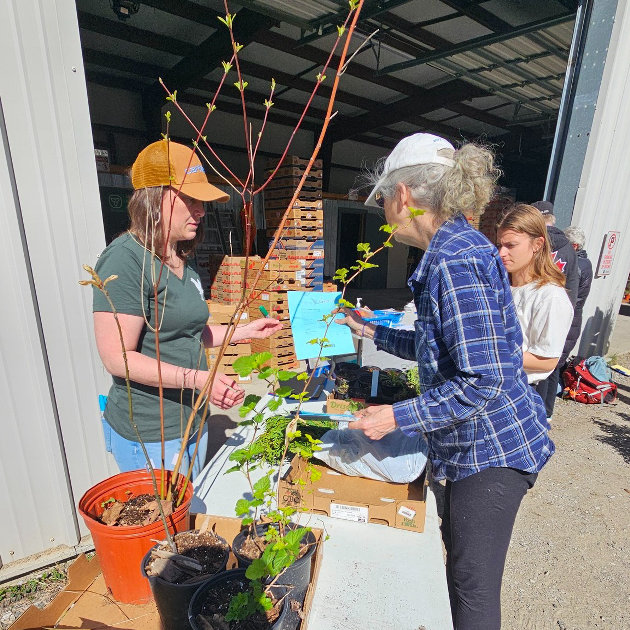 Letters: Thanks to native plant sale volunteers