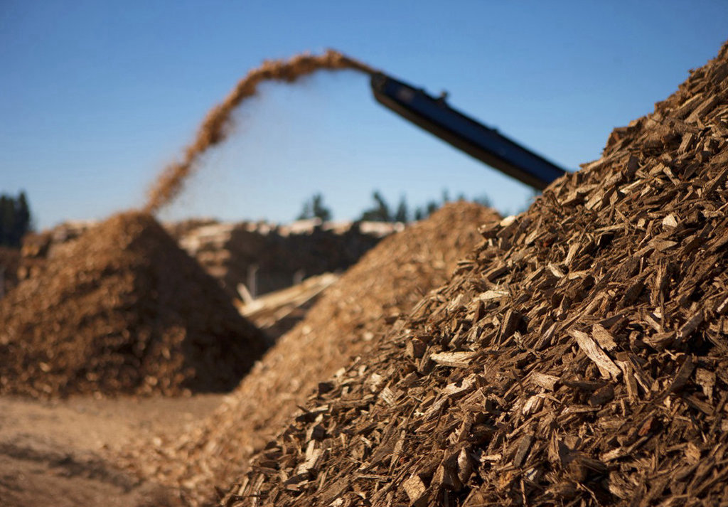 wood-chips-1024×713.jpg