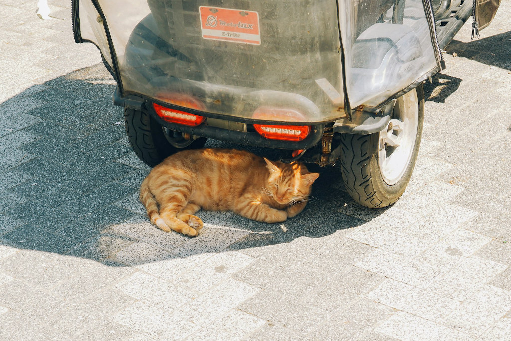 tom-prejeant-WmAm83nFeeQ-unsplash.jpg