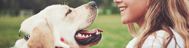 Low-cost rabies clinics available in Simcoe Muskoka starting Sept. 20