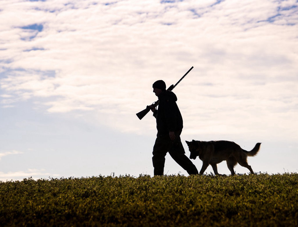 Hunter-1024×780.jpg