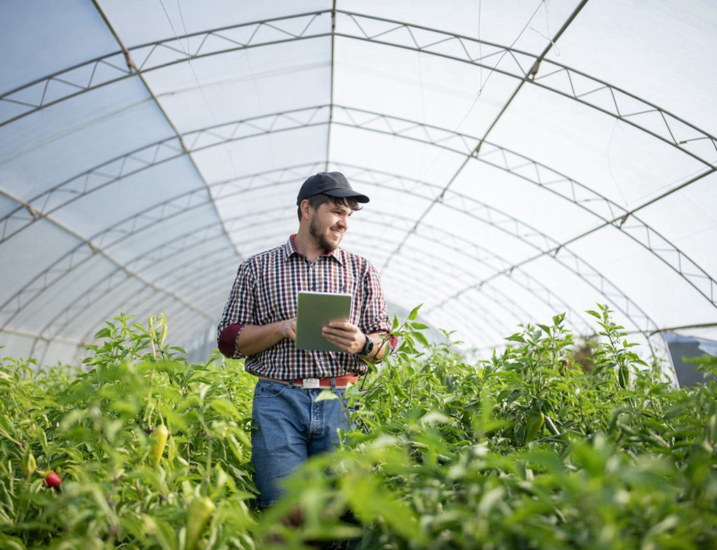 yW03uUvv-small-business-stock-photo-1024×785.jpg