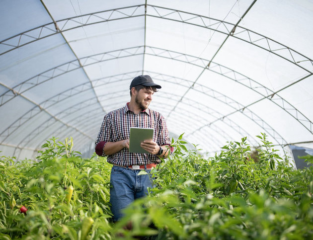 Federal government launches new response to protect Northern Ontario businesses